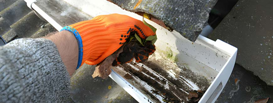 Gutter Cleaning & Brightening